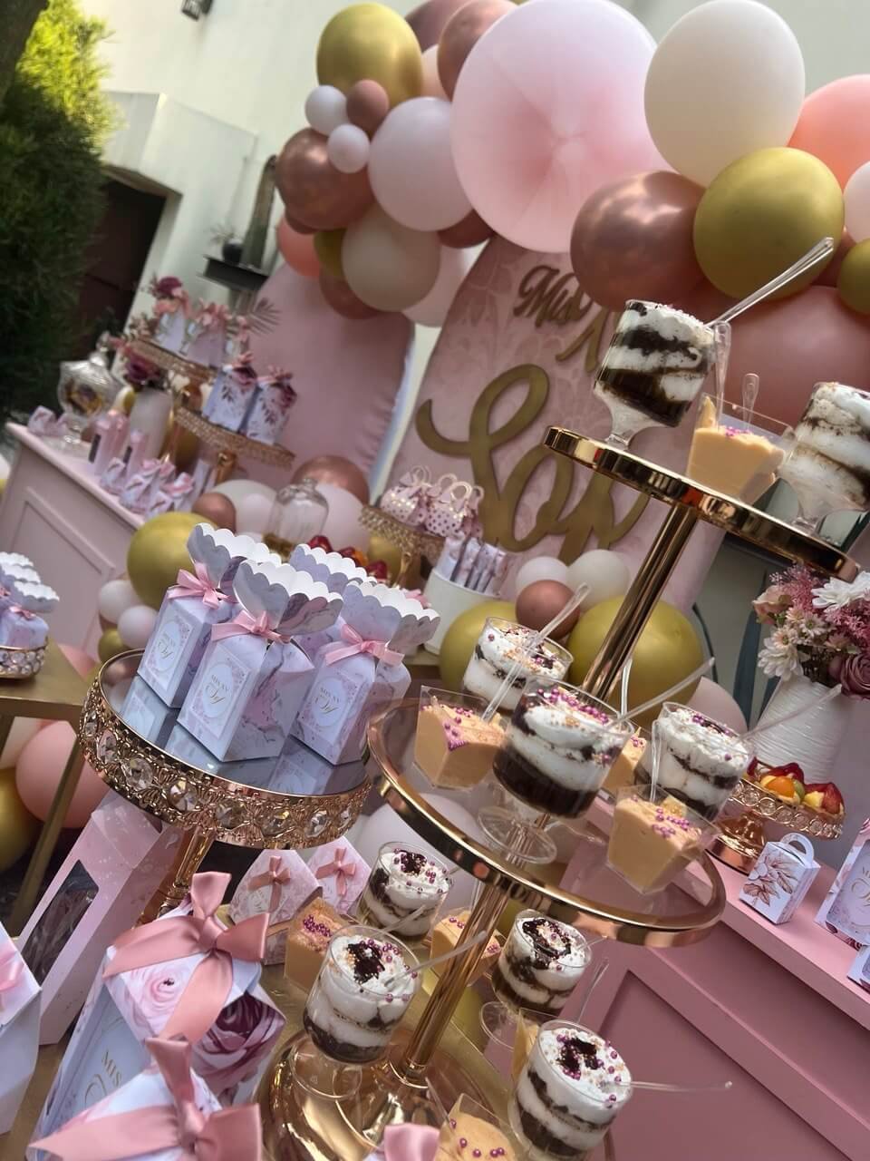 Fiesta de XV Años 017